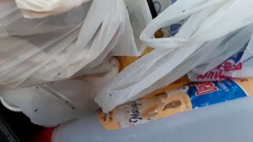 Le palazzine invase dalla spazzatura nel quartiere romano di Cinquina 5