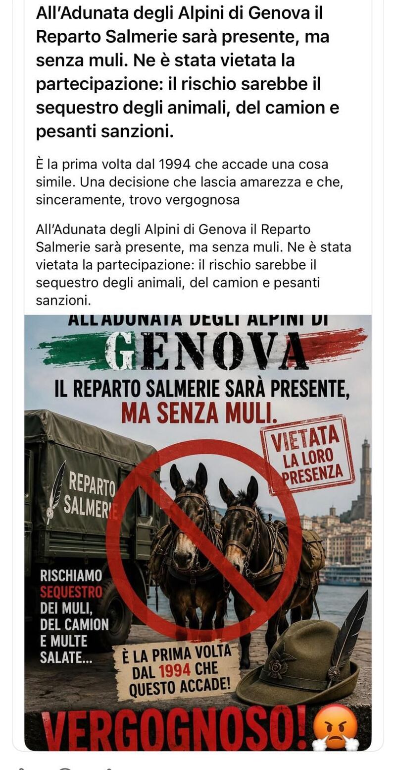 La vergogna contro gli alpini: tutte le foto 5
