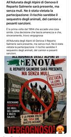 La vergogna contro gli alpini: tutte le foto 5