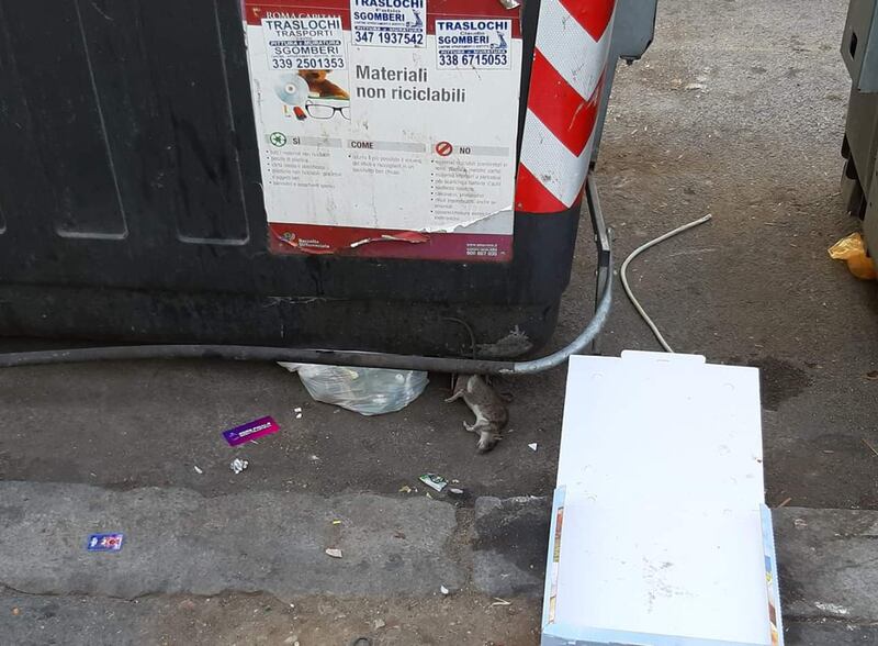 I cassonetti davanti alla scuola elementare I.C. Forlanini