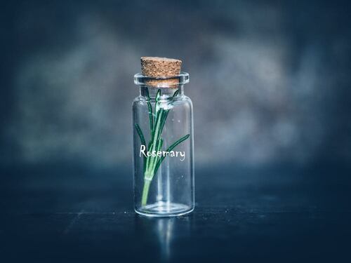 Acqua al rosmarino, rimedio naturale per capelli più lunghi