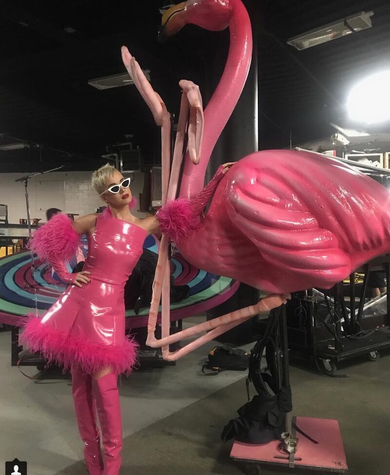 Katy Perry, le foto della cantante 14