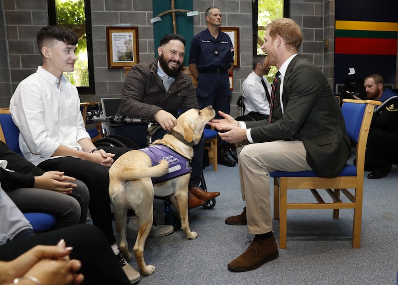 Principe Harry, le foto del duca di Sussex 8