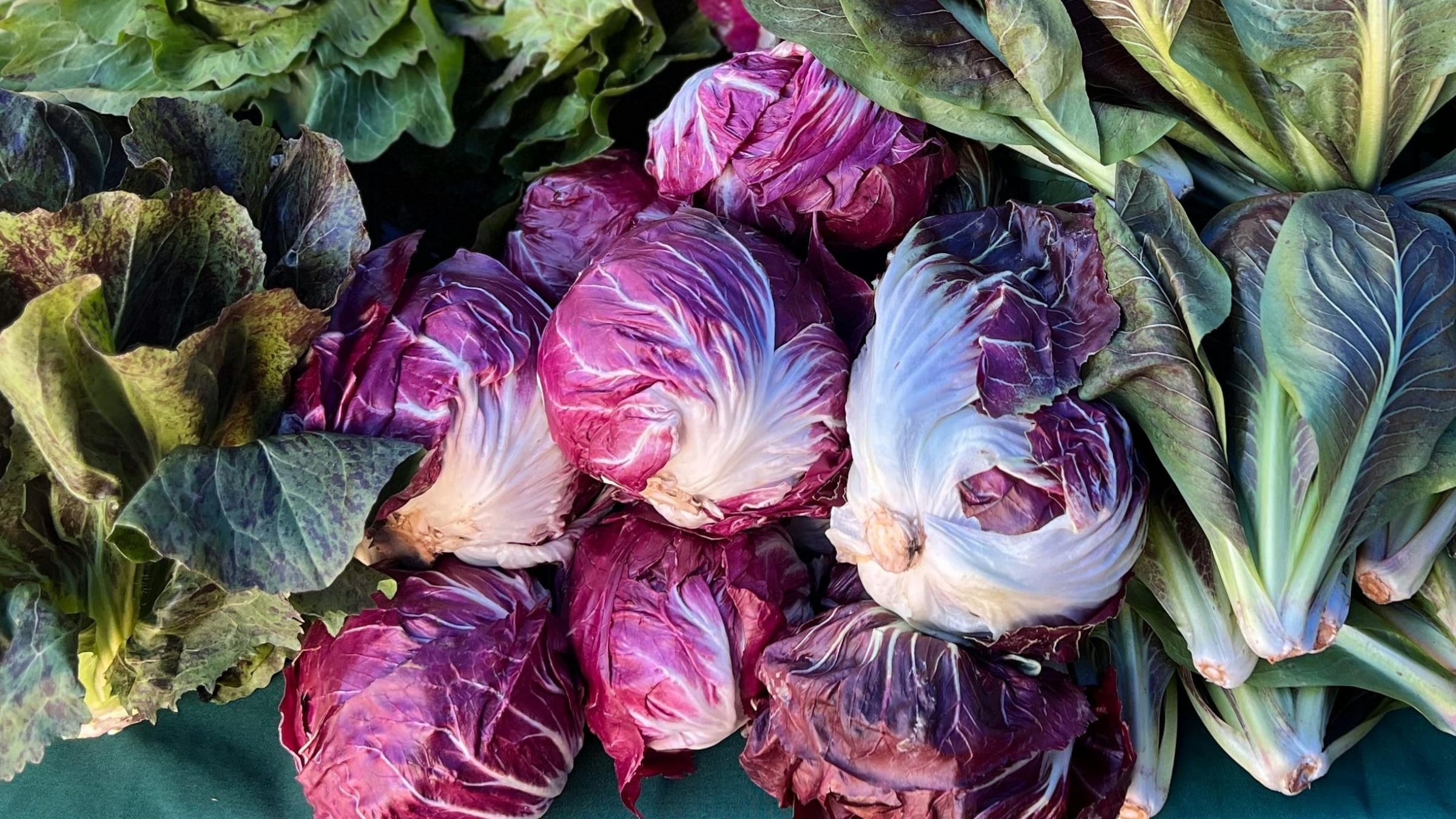 Radicchio, diuretico, depurativo e contrasta l'invecchiamento: come prepararlo