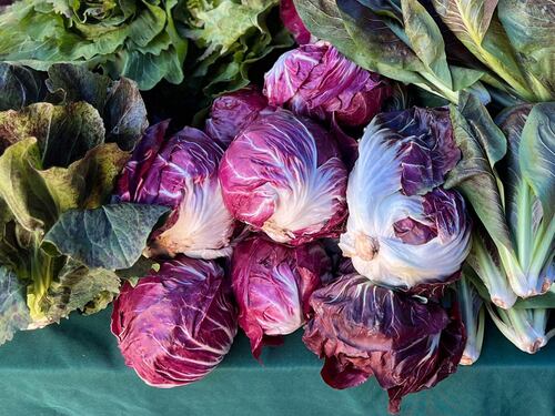 Radicchio, diuretico, depurativo e contrasta l'invecchiamento: come prepararlo