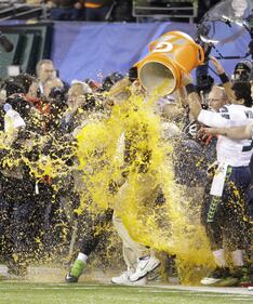 Superbowl 2014, lo show dello sport 14