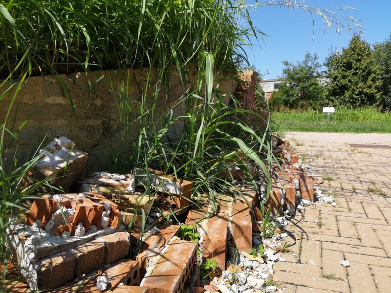 Torino, quel giardino dimenticato dedicato alle vittime delle foibe 7