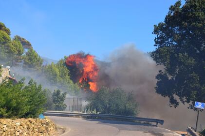 Bruciano le alture di Seborga, fiamme vicino alle case 3