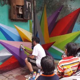 Str. Art Delhi: quando i graffiti li vuole il comune  7