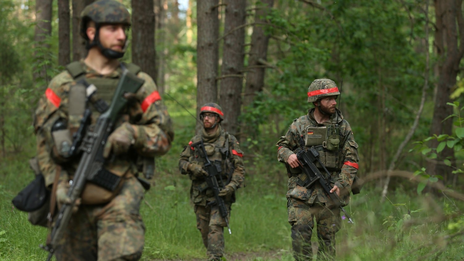 Foreste a rischio per un coleottero. Così Berlino manda l'esercito