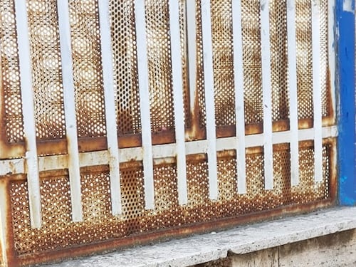 Sciame di api nel centro di Portici. Gli ambientalisti: “Non fate loro del male”