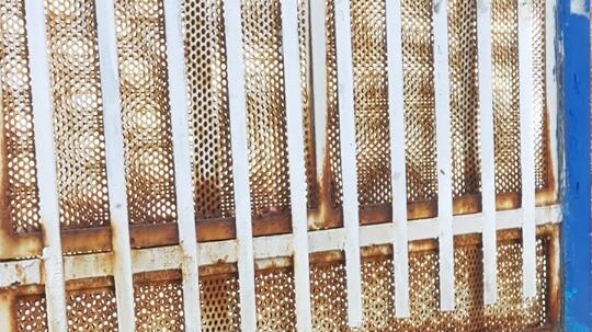Sciame di api nel centro di Portici. Gli ambientalisti: “Non fate loro del male”