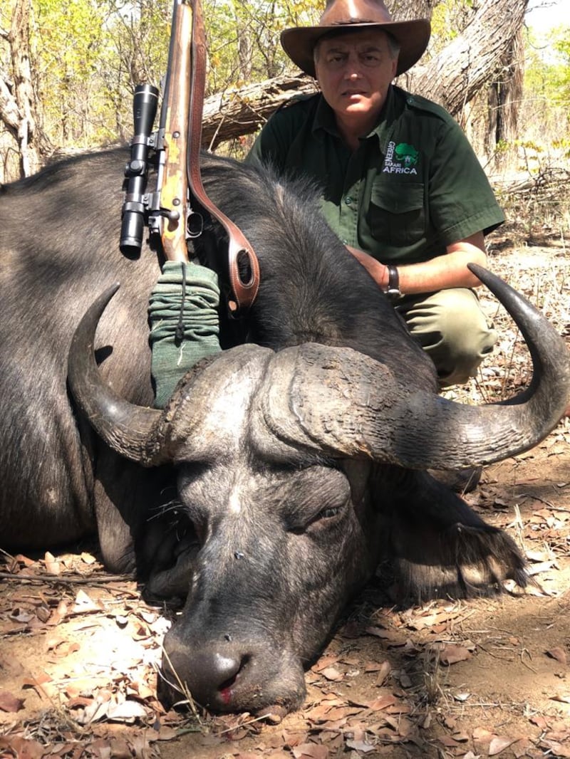 Lavitola safari