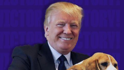 La bufala su Trump anti-animalista. Ecco qual è il vero volto di The Donald
