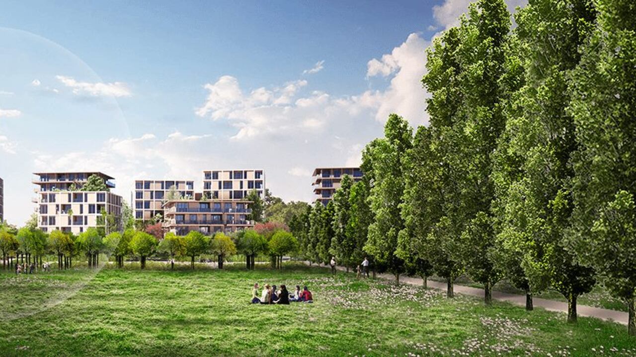A Bisceglie ora spunta una "città giardino" a 12 fermate dal Duomo