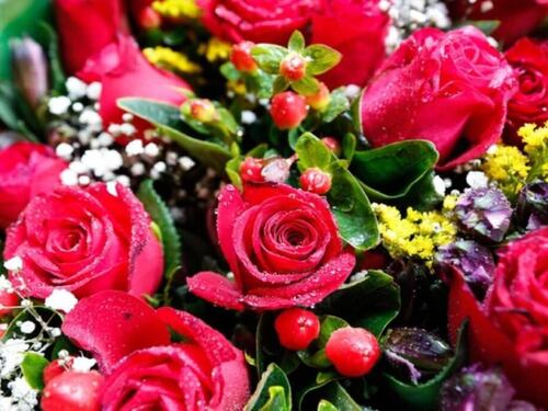 Interflora, multa di 400 mila euro dall’Antitrust: cos’è successo