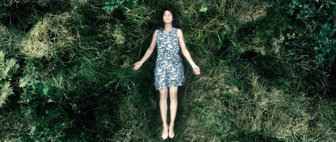 Il cinema di Lars von Trier, foto 15