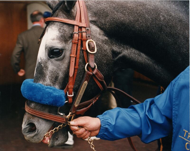 Silver Charm - Vincitore dell'edizione 1997 (f.te Pagina ufficiale FB Kentucky Derby)