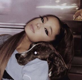 Ariana Grande, le foto su Instagram 6