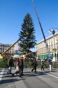 Milano, è arrivato l'abero di Natale in Piazza Duomo 5