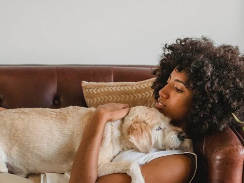 Così si impara a convivere con i cani ciechi o sordi