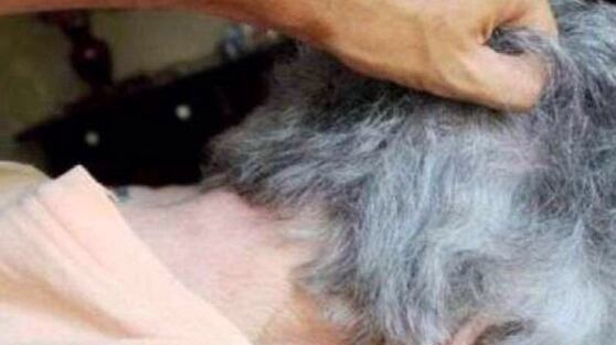 Ragusa, casa di riposo per anziani come un lager. Titolare arrestato