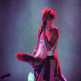 Miley Cyrus tra peni, sederi finti e provocazioni 1