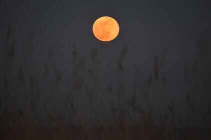 La Super Luna: le immagini suggestive dall'est della Francia  4