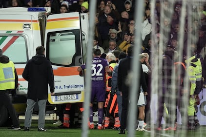 Paura in campo a Firenze, Bove si accascia a terra 11