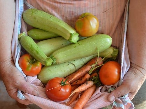 Zucchine, benefici e ricette per la salute dei Senior