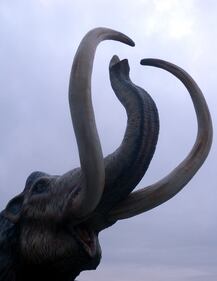 Dinosauri in carne e ossa alla Reggia di Monza 8