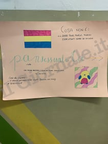 I cartelli al liceo Laura Bassi durante l'assemblea di istituto 3