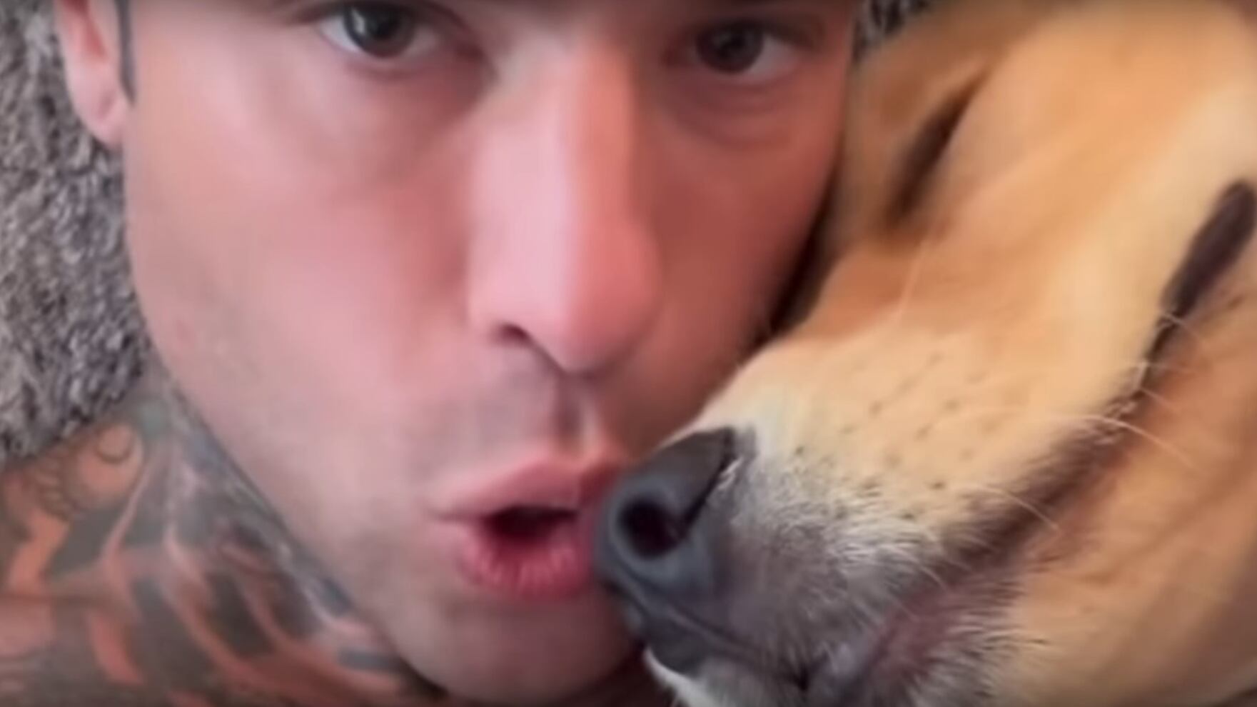 "Venezia? Silvio perfetto, ci vanno cani e porci". La frecciatina di Fedez a spasso con il cane