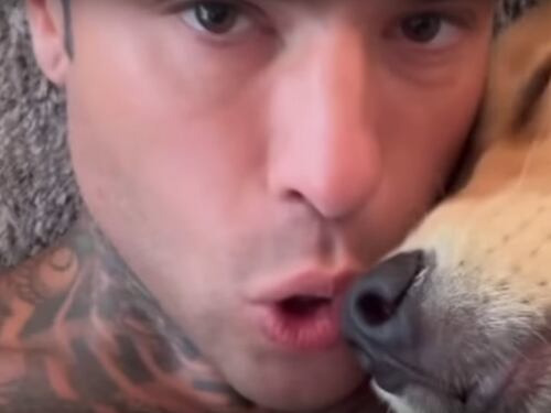 "Venezia? Silvio perfetto, ci vanno cani e porci". La frecciatina di Fedez a spasso con il cane
