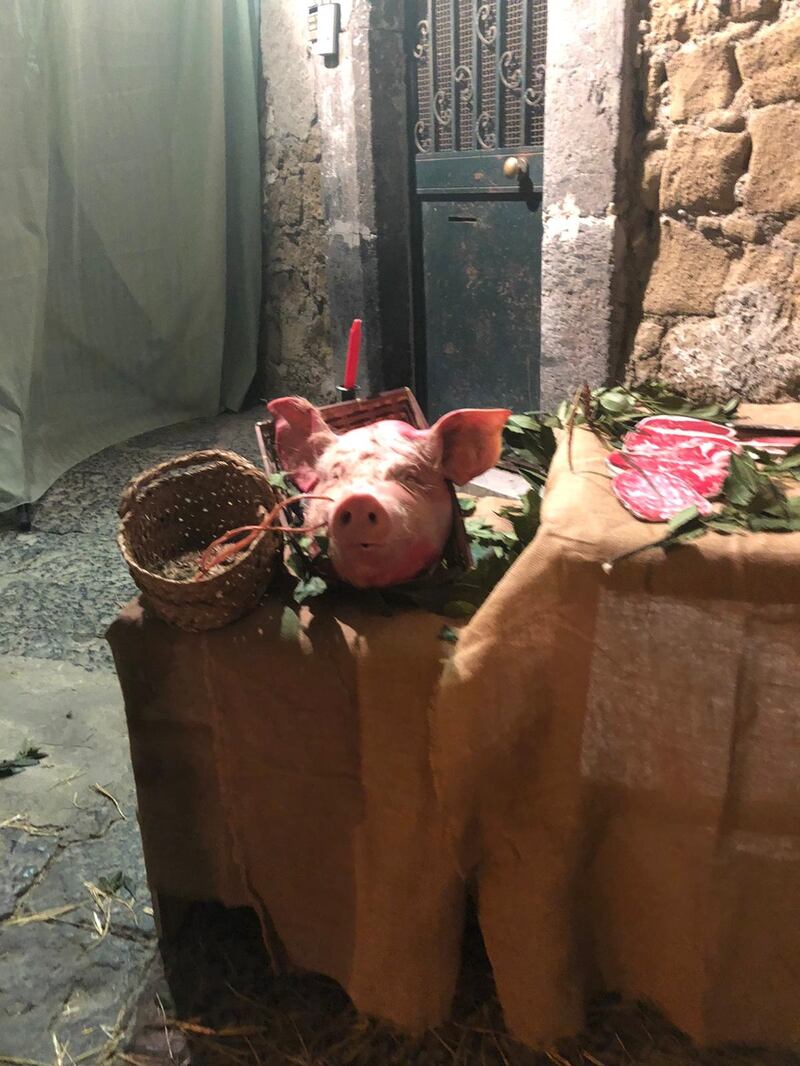 Animali presepe 4