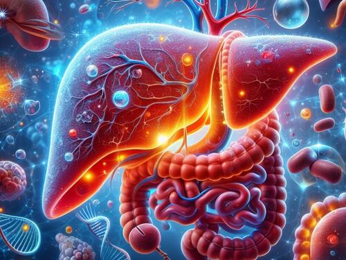 I rischi per il cuore e la sindrome metabolica: ecco come si cura il "fegato grasso"