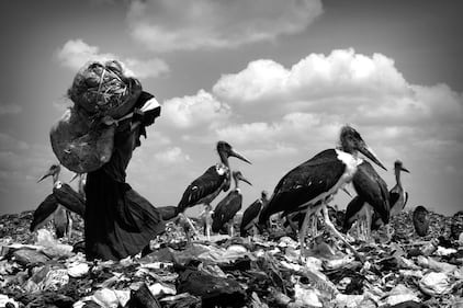 Dandora, la più grande discarica del mondo 3