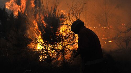 Colossale incendio in Portogallo 3