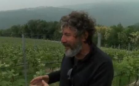 Malesani: "Il calcio mi ha dimenticato" 4