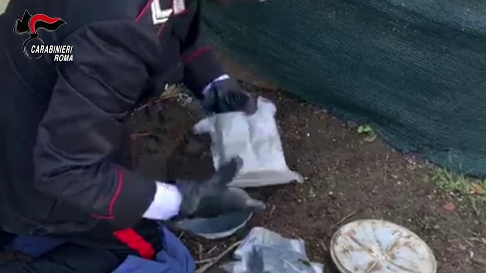 Sequestrati 25 chili di droga, blitz tra Ostia e Acilia