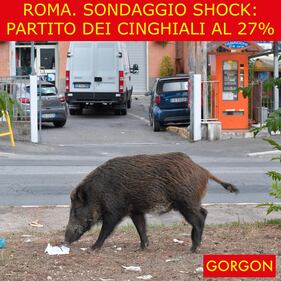 Ecco la satira del giorno. Roma: sondaggio shock 1