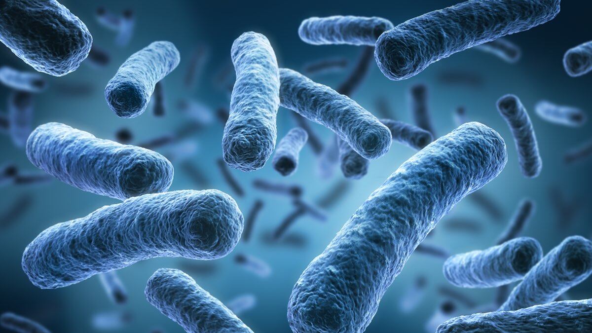 Siberia, eplosione presso il laboratorio dei virus letali