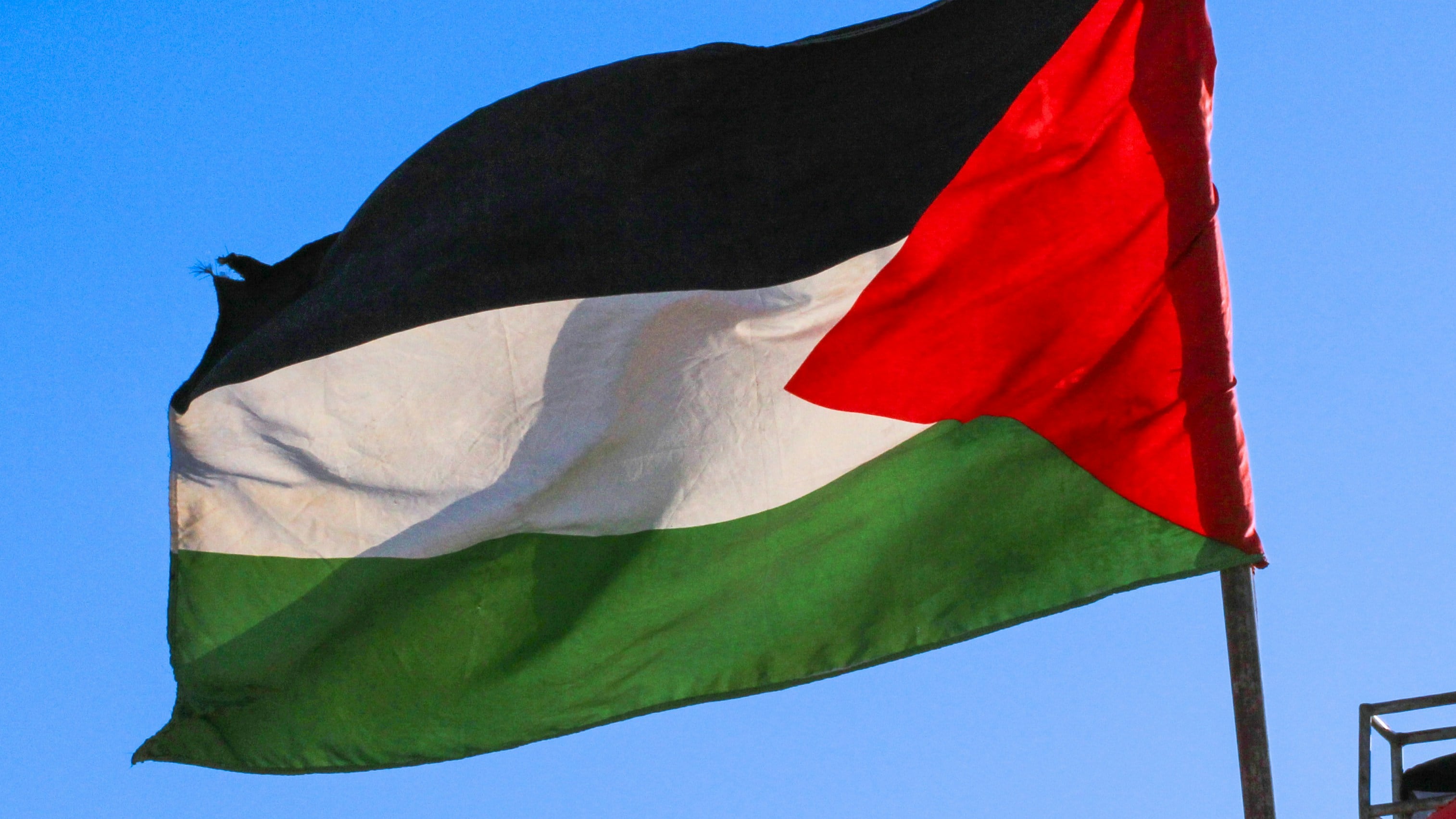 Il "Combattente" per Gaza tra immigrazione illegale, Hannoun e la Fratellanza