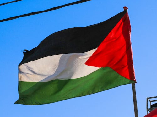 Patentino pro Pal. Il Pd e i centri sociali sfidano Israele
