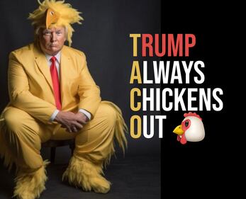 Trump e il termine "Taco": i meme più virali 7