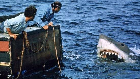 Lo Squalo, 43 anni fa nei cinema americani il cult di Steven Spielberg