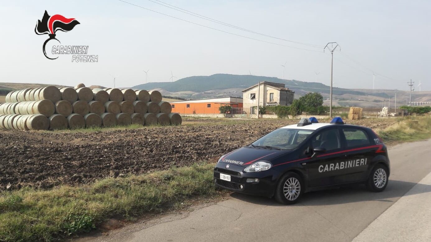 Potenza, la guerra della paglia: arrestati due fratelli