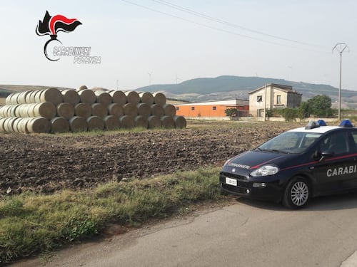 Potenza, la guerra della paglia: arrestati due fratelli