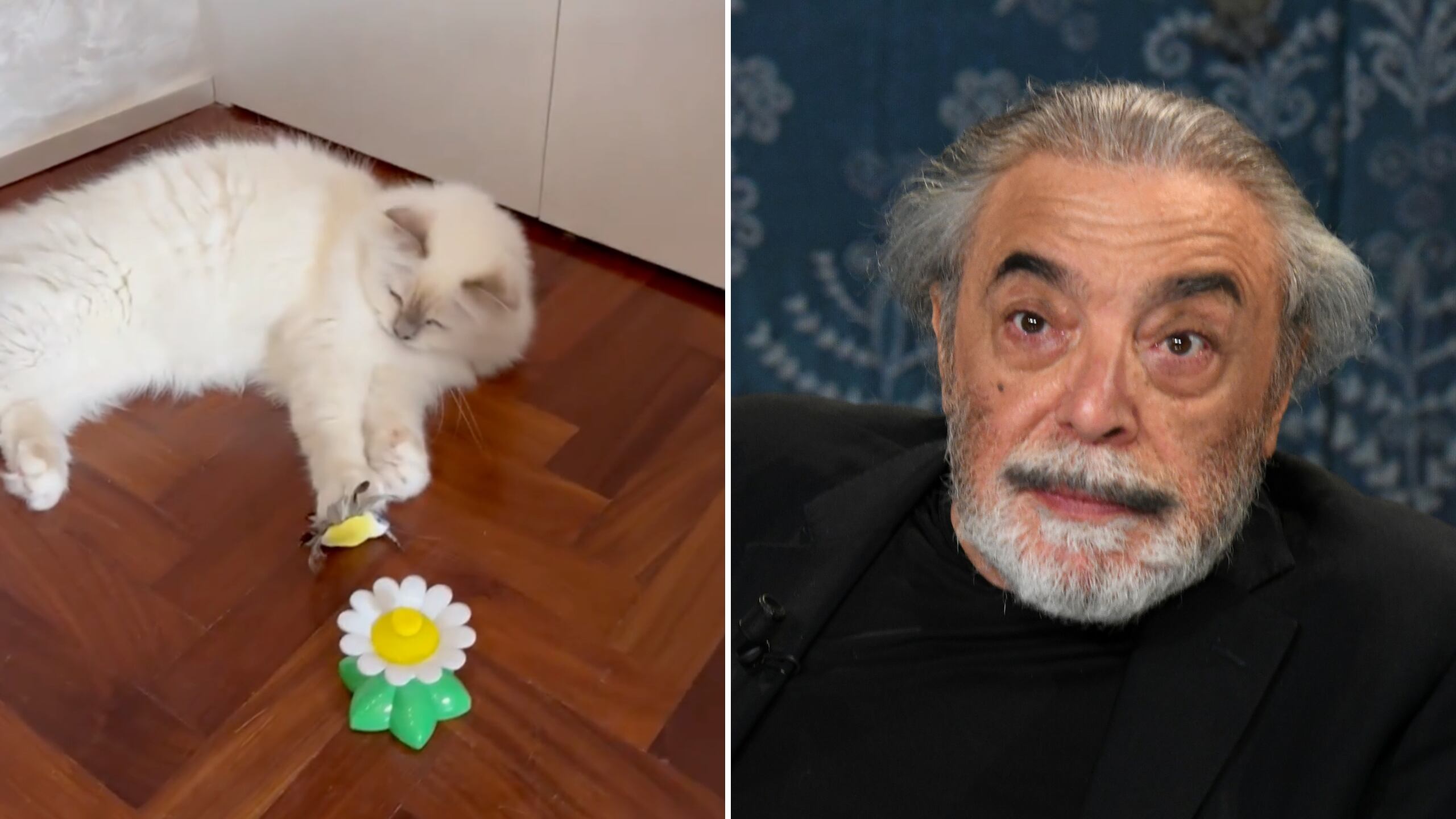 "Insulti e pietre contro i vicini". La moglie di Nino Frassica nei guai