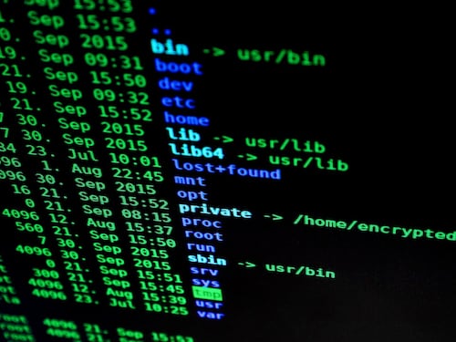 "Tutti intercettati, ma non la pedopornografia". In Senato bufera sui trojan